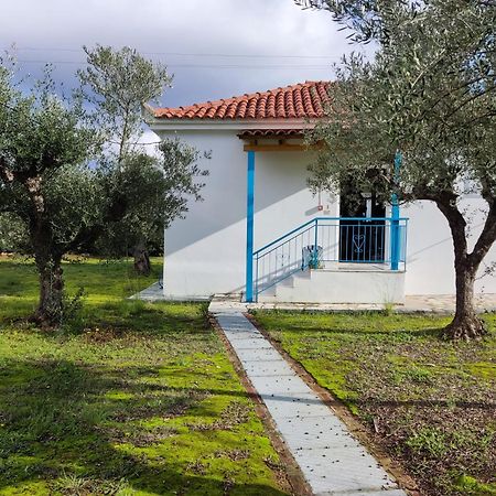 Coral Villas Kómboi Eksteriør billede
